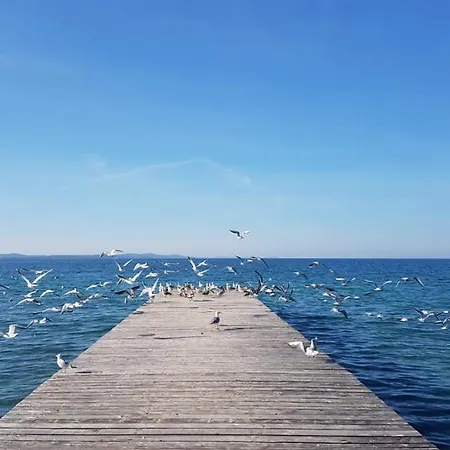 Cosy Near The Maison d'hôtes