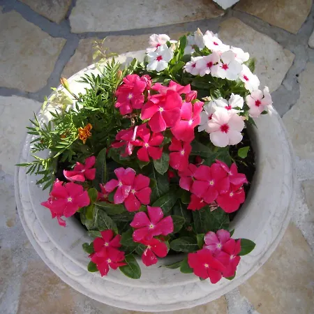 Maison d'hôtes Cosy Near The