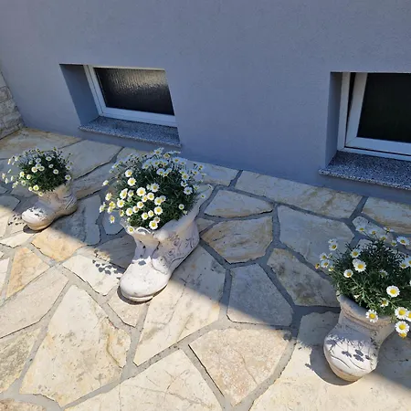 Guest house Cosy Near The Zadar