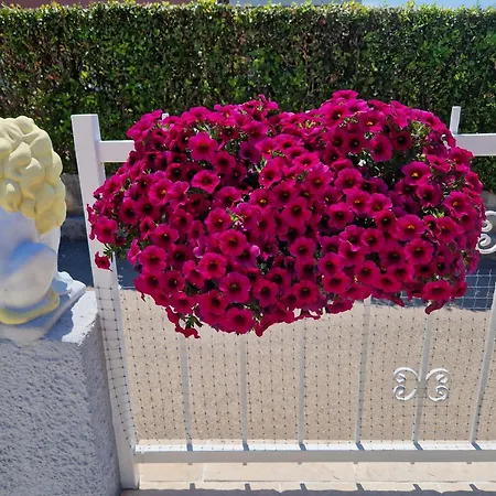 Cosy Near The Pensionat 3*